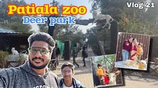 Patiala Zoo | Deer Park 🐊🐗🦌🦜