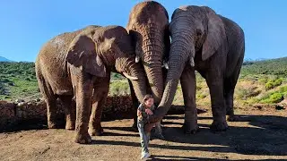 Sleeping with WILD ANIMALS in AFRICA!