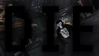 The Lab (VHS Tape 3) The Last Stance