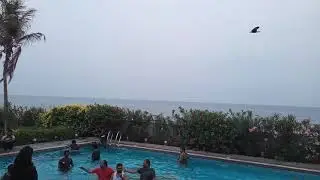 Treasure hunt in swimming pool Corporate outing at Kovalam Covelong ECR Chennai Anchors