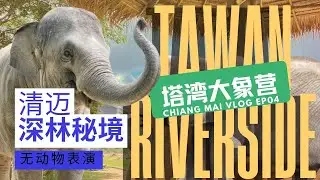 Check-in at Tawan Riverside Hotel, a hidden gem elephant sanctuary in Chiang Mai