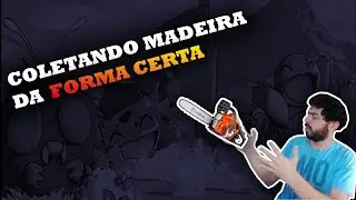PXG ESTILISTA - Coletando Madeira (Em Kanto)