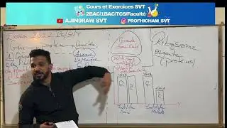 Génétique 🧬 préparation contrôle correction examen 2022 PC/SVT