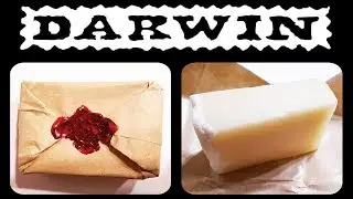 💈 DARWIN Avant-Rasage - Pre-Shave 💈 FILSLADE