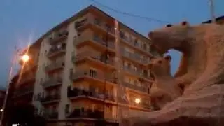 L' orso polare a Mercatello (Salerno)
