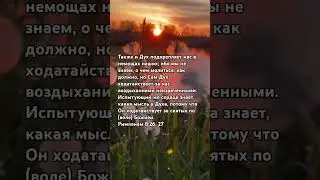 Римлянам 8:26,27