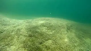 The Underwater World of the Pecos River in West Texas