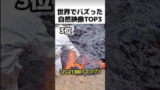 自然のすごい瞬間を捉えた映像