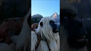 I Spent 24 Hours With The Yeti