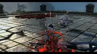 Age of Wushu: Doing Sky Ladder