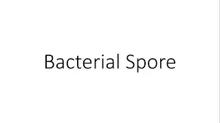 Bacterial Spore - Microbiology
