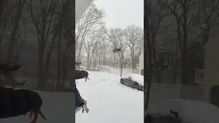 Всё ради энергетического напитка