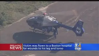 Swimmer Attacked By Shark Off Cape Cod