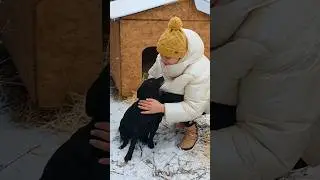 They waited for me in the freezing cold &mdash; hungry, but full of hope