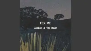 Fix Me (feat. Ansley Stewart)