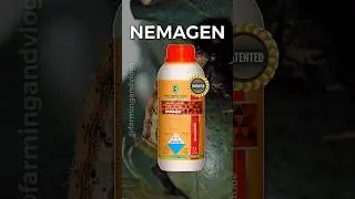 🔥 Nemagen 🔥Best Agro Life Ltd | Insecticide |#farming #agriculture #kisan #kheti #shetkari #shorts