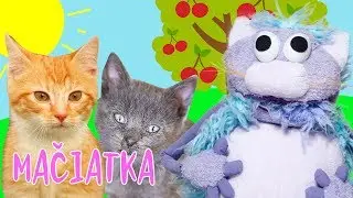 Mačiatka - detsk&aacute; pesnička o mačičk&aacute;ch | spieva Hanička a mňauk&aacute; Murko