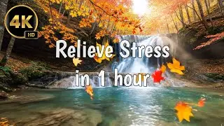 1 Hours of Trickling Water Sounds with NO MUSIC