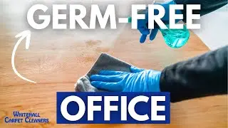Professional Office Disinfection Services in Columbia, SC by Whitehall Carpet Cleaning
