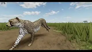 new update in Wild Savannah