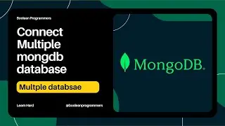 Connect multiple database in a single Nodejs app