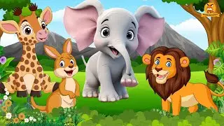 Collection of cute animal sounds: Giraffe, Elephant, Wallaby, Cat, Parrot - Cute Animal Moments