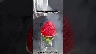 Strawberry 🍓 vs Liquid Nitrogen 🌧️ #Satisfying #Experiment #Science #ASMR #LiquidNitrogen