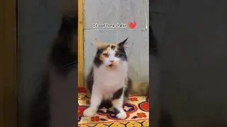 #смешно 🤣🤣🤣 #короткометражка #вирусное видео #короткометражки #комедия #смешная шутка #в тренде #...