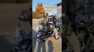 #할리 #할리데이비슨 #harleydavidson #harley  #ROUTE7