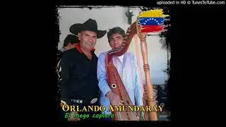 ORLANDO AMUNDARAY-AMORES DE CAMPO