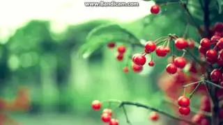 Музыка Под Видос