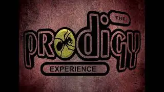 THE PRODIGY EXPERIENCE
