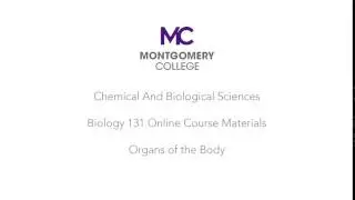 MC CBS ORGANS PLAYLIST