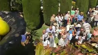 Concierto Oto&ntilde;o 2016