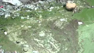 Sandpani - ABARAJE MANDHARE-PATIL, Shikrapur