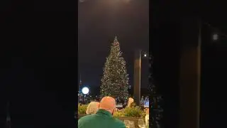 Lighting of the tree at Portofino Bay Hotel