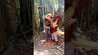 Photo with orangutan 😘 orangutan with girl | bangkok monkey | safari world bangkok monkey show