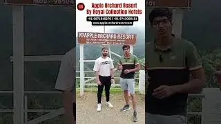 Apple Orchard Resort Dhanaulti Valuable Guest Review | Royal collection Hotels #shortsvideo #shorts