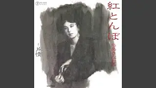 片情(かたなさけ)