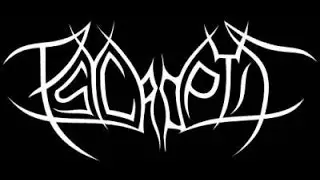 Dave Haley - Psycroptic - Drumcam