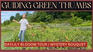 DAYLILY BLOOM TOUR / FARM STAND FLOWERS / THE MYSTERY BOUQUET