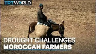 Scientists say Morocco will face severe water shortages by 2025