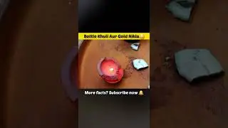 23 Dollar Gold Wine Se Kitna Gold Nikla 😱#facts #science #shorts #experiements #unknownfacts
