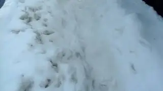 Andando na neve