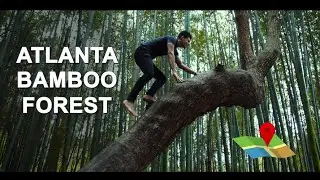 FOUND IT! Hidden Bamboo Forest in Atlanta! - East Palisades