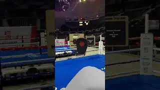 Mixed Reality Mitts ! Golden Gloves VR 🥊 #boxing #vr #virtualboxing #gaming