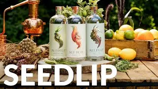 Seedlip &ndash; alkoholfrei genie&szlig;en