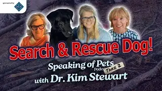This Dog is a Search-and-Rescue Master