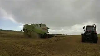 Harvest 18: Claas Lexion 450 & Deutz Fahr Cutting Winter Wheat