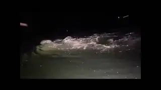 What&rsquo;s Happening Under Lake Taneycomo Missouri?